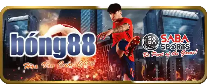 Hỗ trợ nền tảng đa dạng